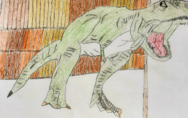 Čudestan dan u knjiznici